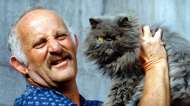 gareth cats